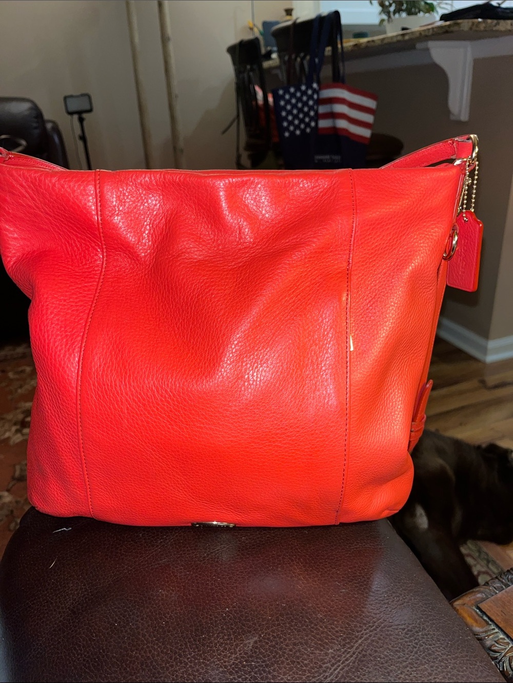 EUC Authentic Coach Isabelle pebbled leather red/orange hobo handbag
